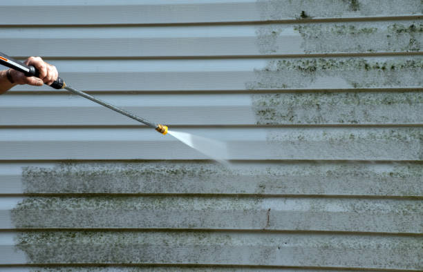 Best Roof Pressure Washing  in Pemberville, OH