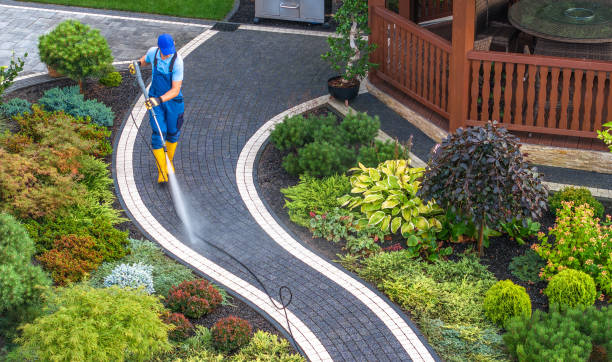 Best Residential Pressure Washing Services  in Pemberville, OH